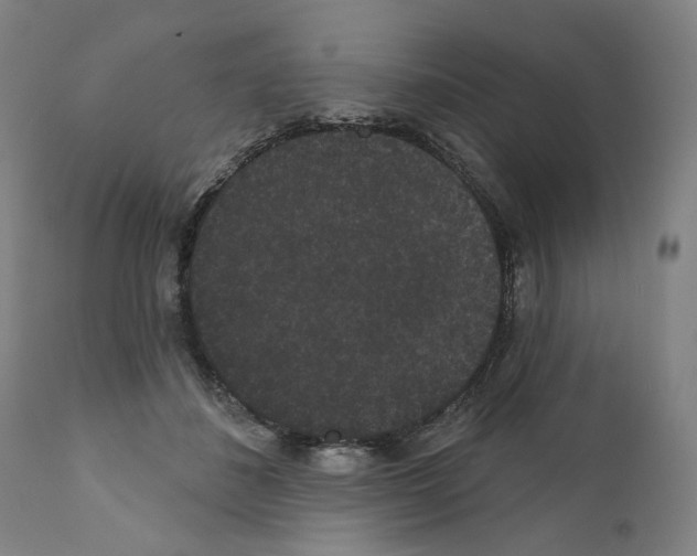 X0000110960508200907311109