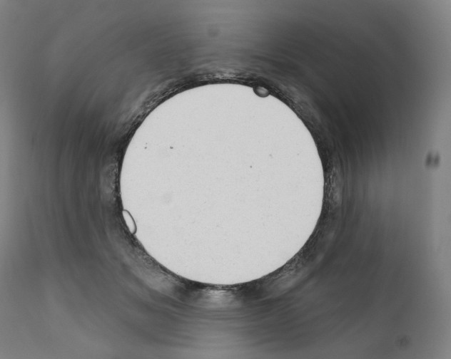 X0000110960509200907311109