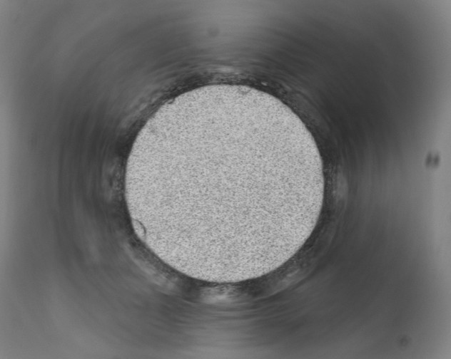 X0000110960511200907311109