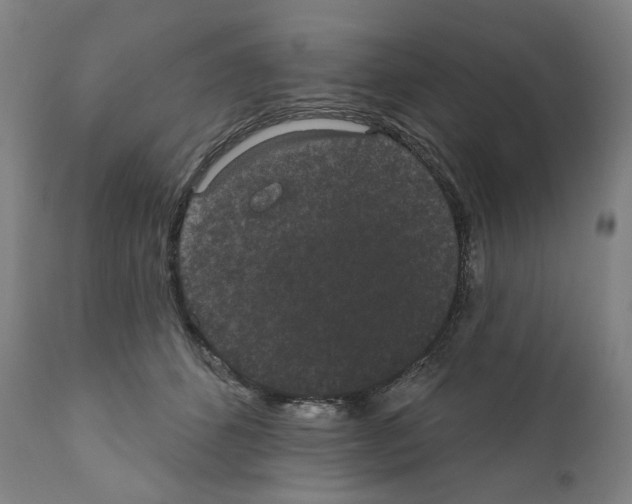 X0000110960512200907311109