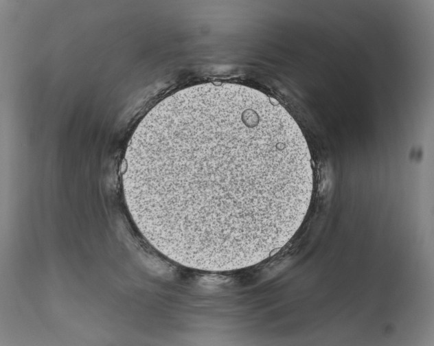 X0000110960515200907311109