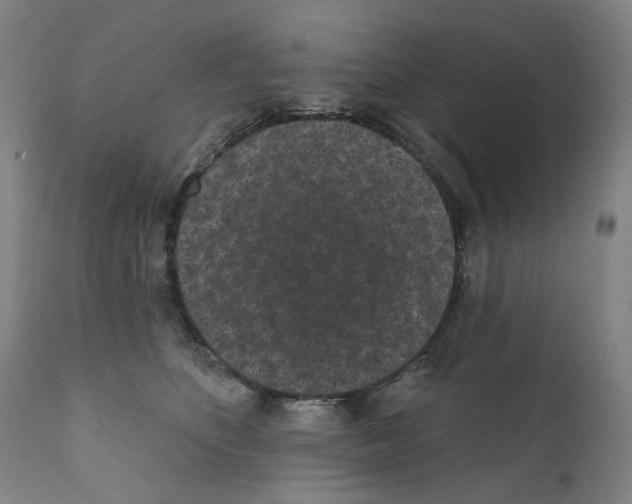 X0000110960516200907311109