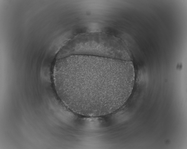 X0000110960524200907311109