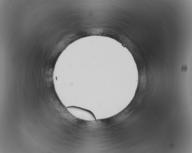 X0000110960525200907311109