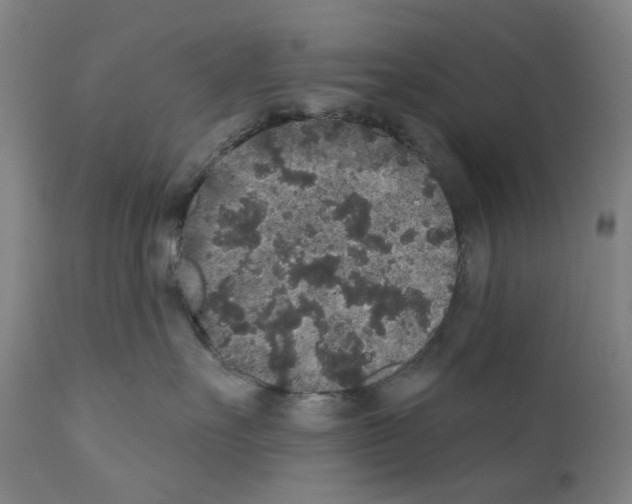 X0000110960527200907311109