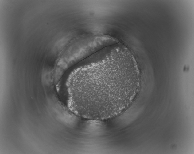 X0000110960528200907311109
