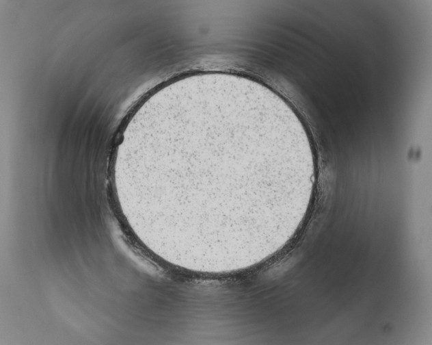 X0000110960530200907311108