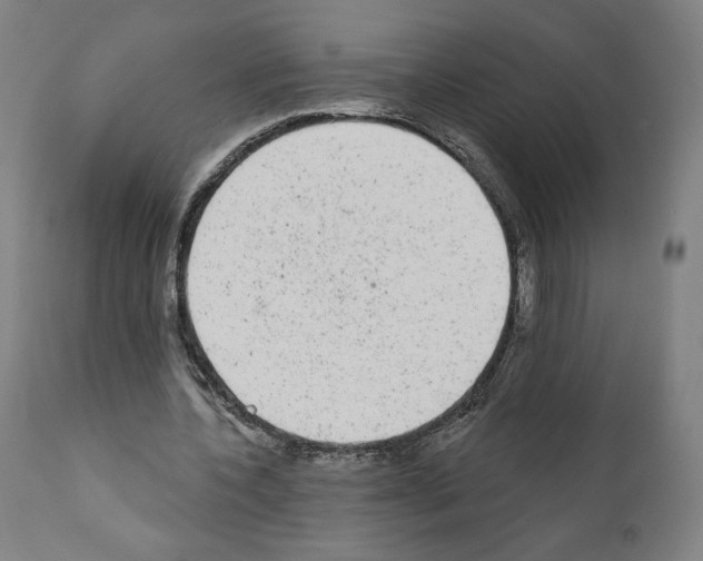 X0000110960532200907311108