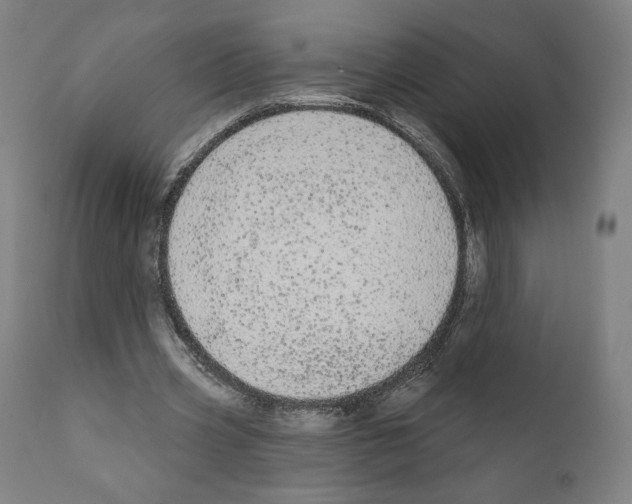 X0000110960533200907311108