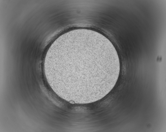 X0000110960535200907311108