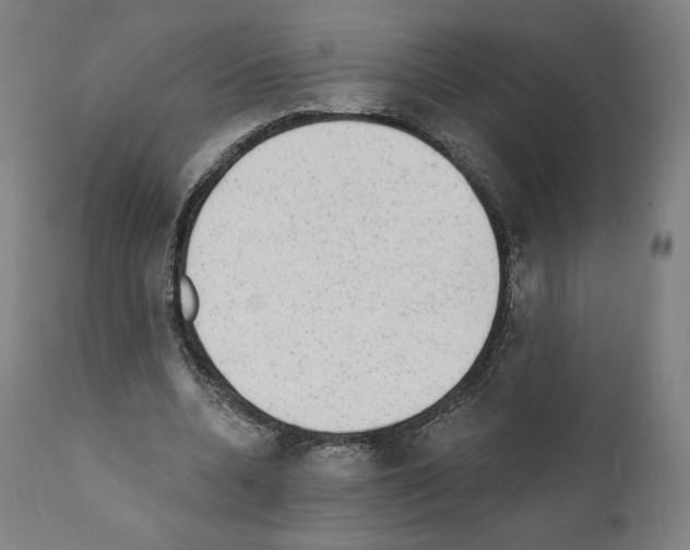 X0000110960536200907311108