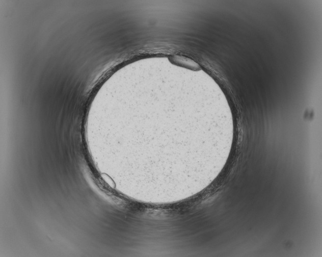 X0000110960538200907311108