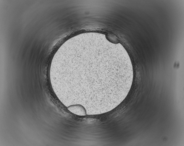 X0000110960539200907311108