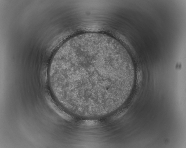 X0000110960541200907311108