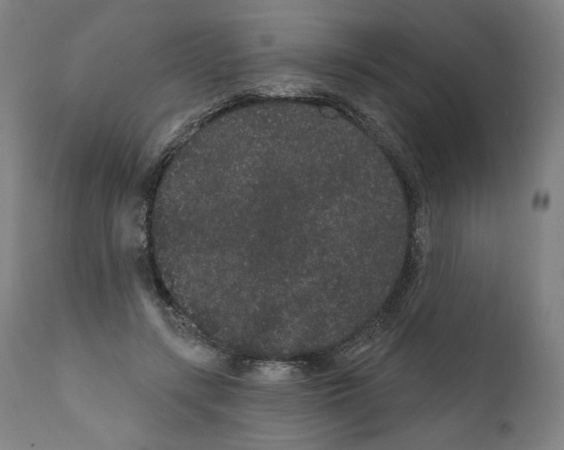 X0000110960547200907311109