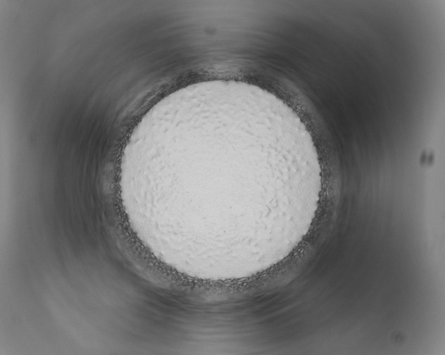 X0000110960549200907311109