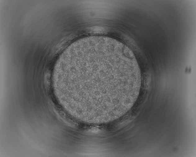 X0000110960550200907311109