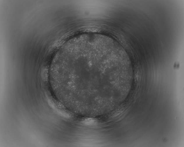 X0000110960551200907311109