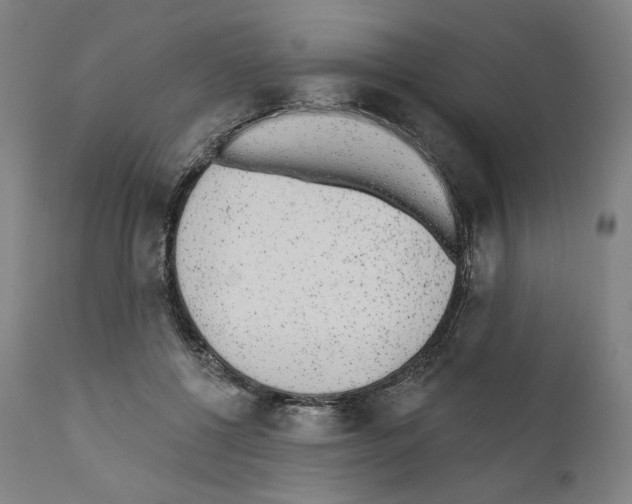 X0000110960552200907311109
