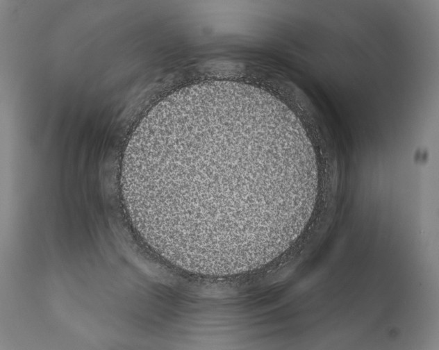X0000110960553200907311109