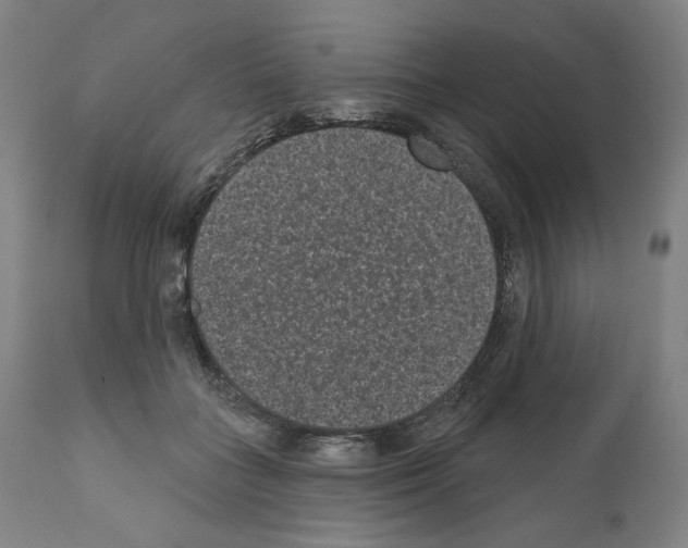 X0000110960555200907311109