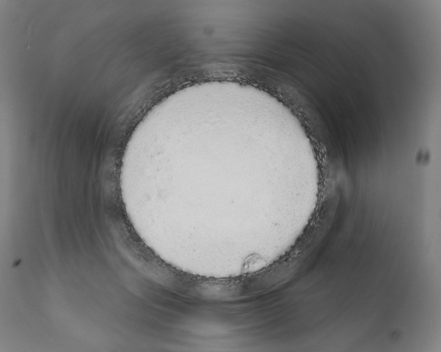 X0000110960557200907311109