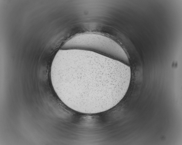 X0000110960558200907311109