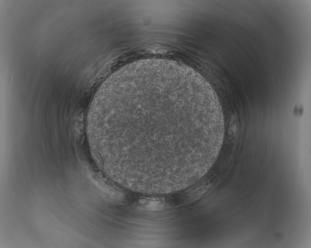 X0000110960559200907311109
