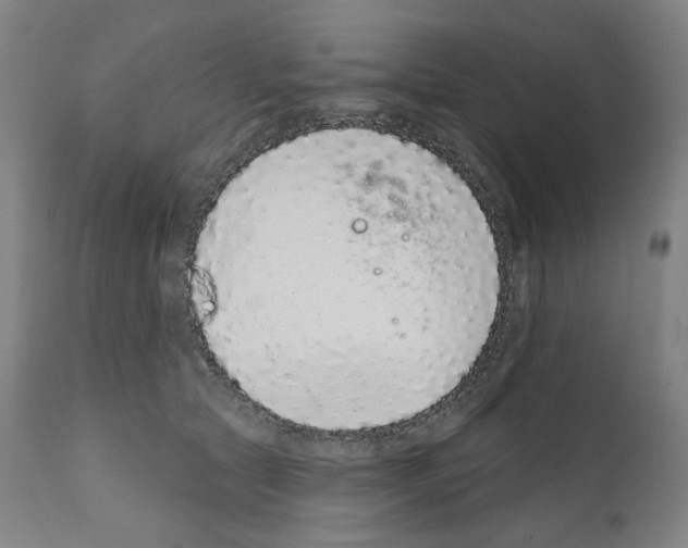 X0000110960561200907311109