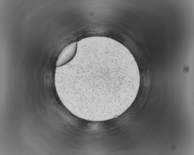 X0000110960564200907311109