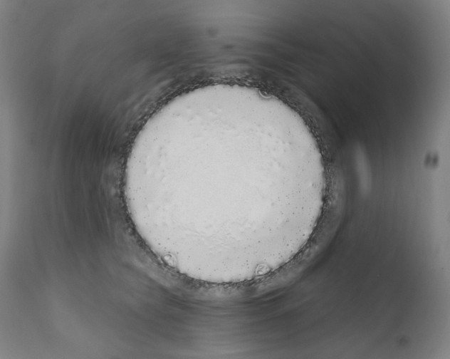 X0000110960565200907311109