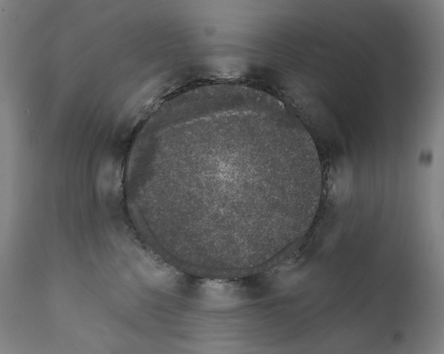 X0000110960568200907311109