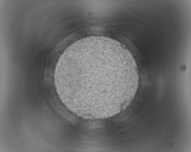 X0000110960569200907311109