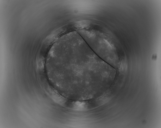 X0000110960570200907311109