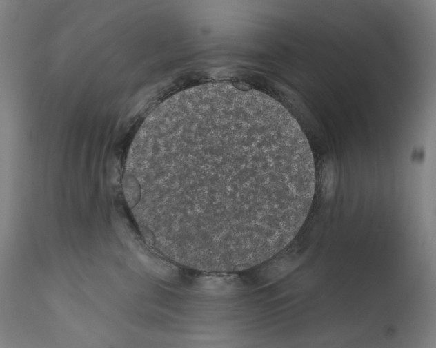 X0000110960571200907311109