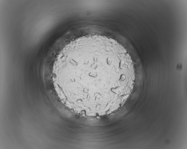X0000110960573200907311109
