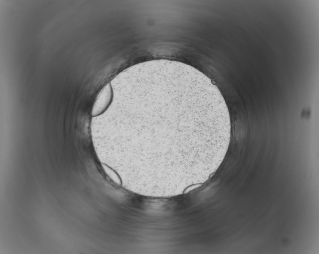 X0000110960575200907311109