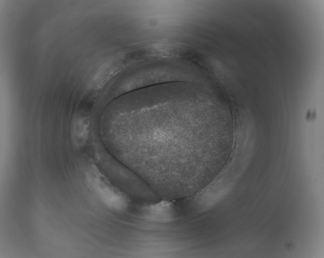 X0000110960576200907311109