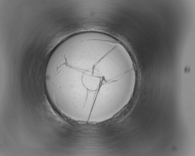 X0000110960577200907311108