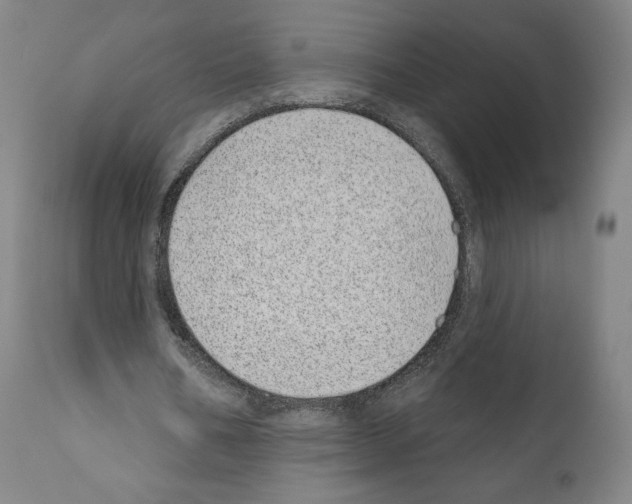 X0000110960578200907311108
