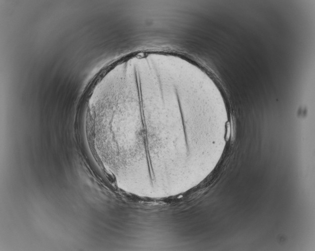 X0000110960579200907311108