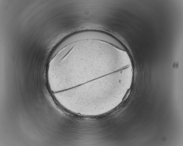 X0000110960581200907311108