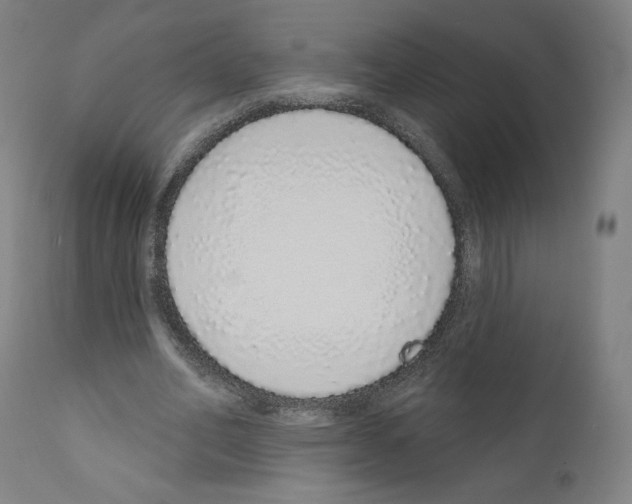 X0000110960582200907311108