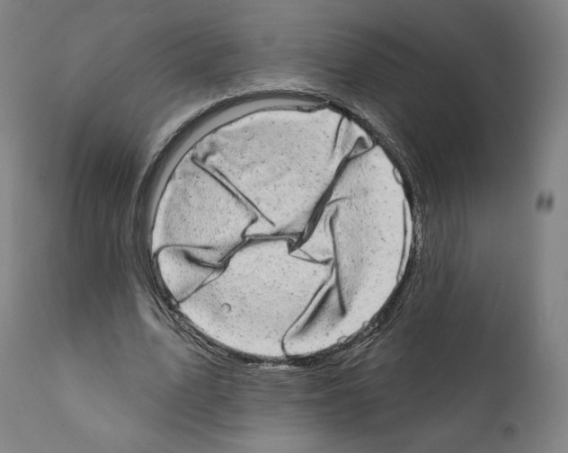 X0000110960583200907311108