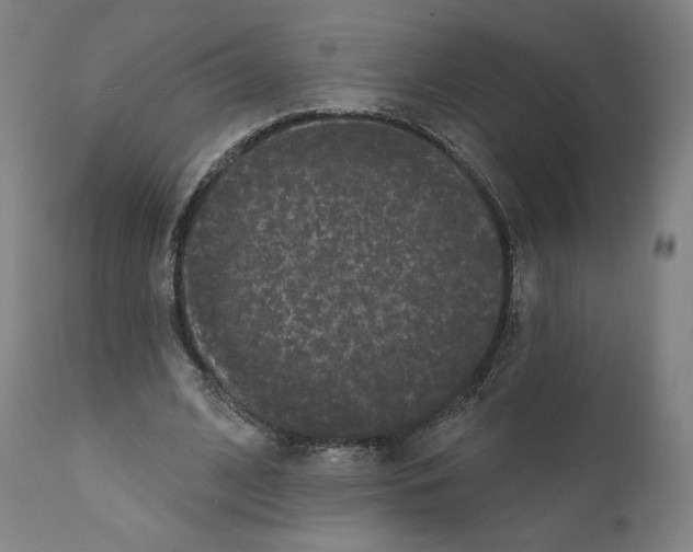 X0000110960584200907311108