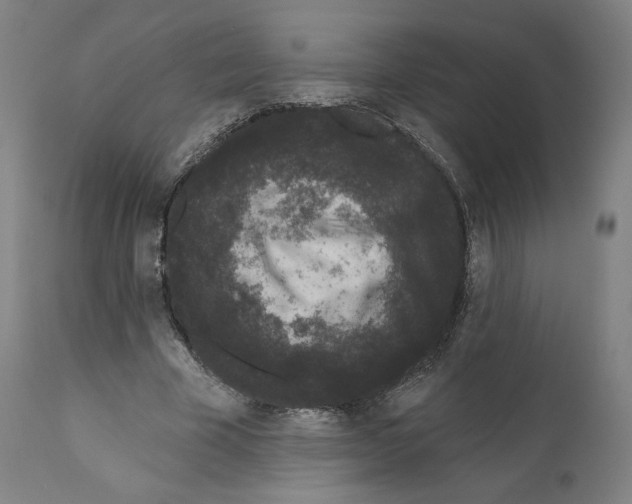 X0000110960585200907311108