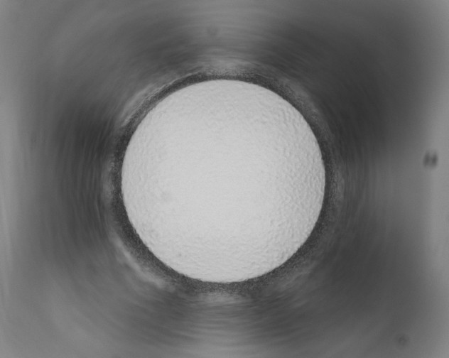 X0000110960586200907311108