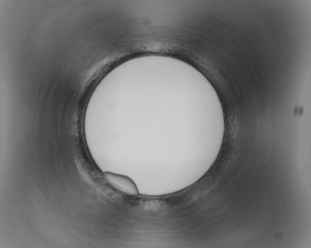 X0000110960587200907311108