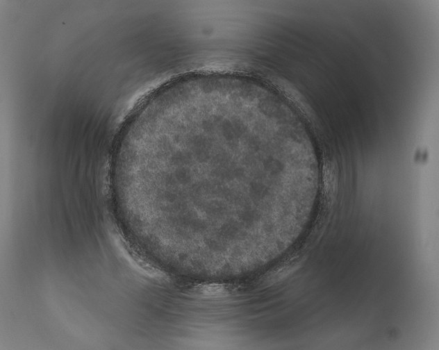 X0000110960588200907311108