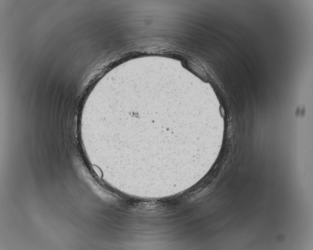 X0000110960589200907311108